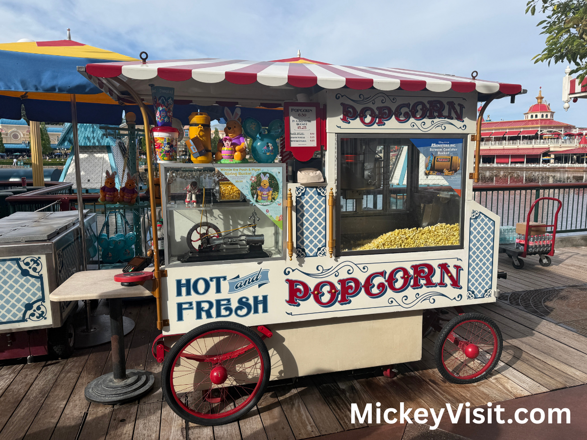 Disneyland popcorn