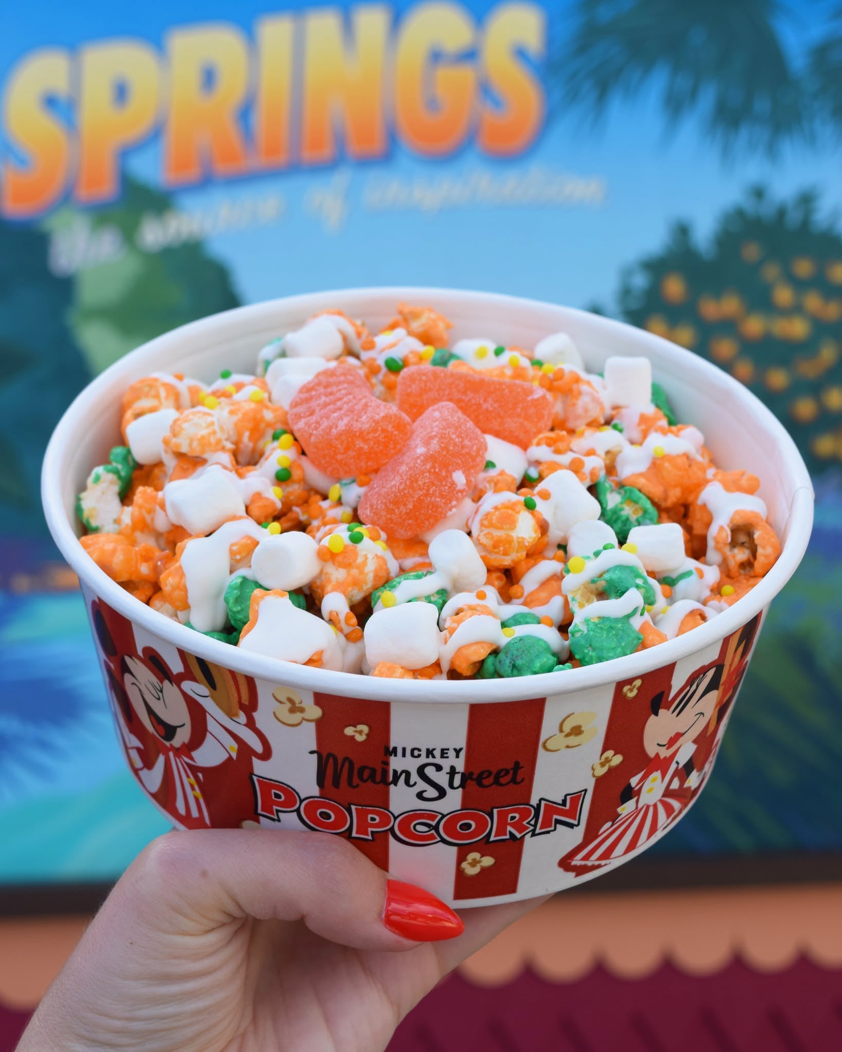 Disney Springs popcorn