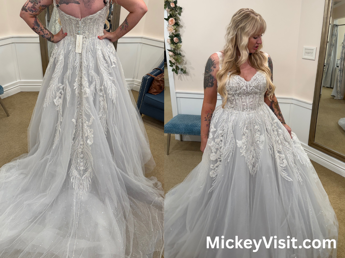 Disney Wedding Dresses