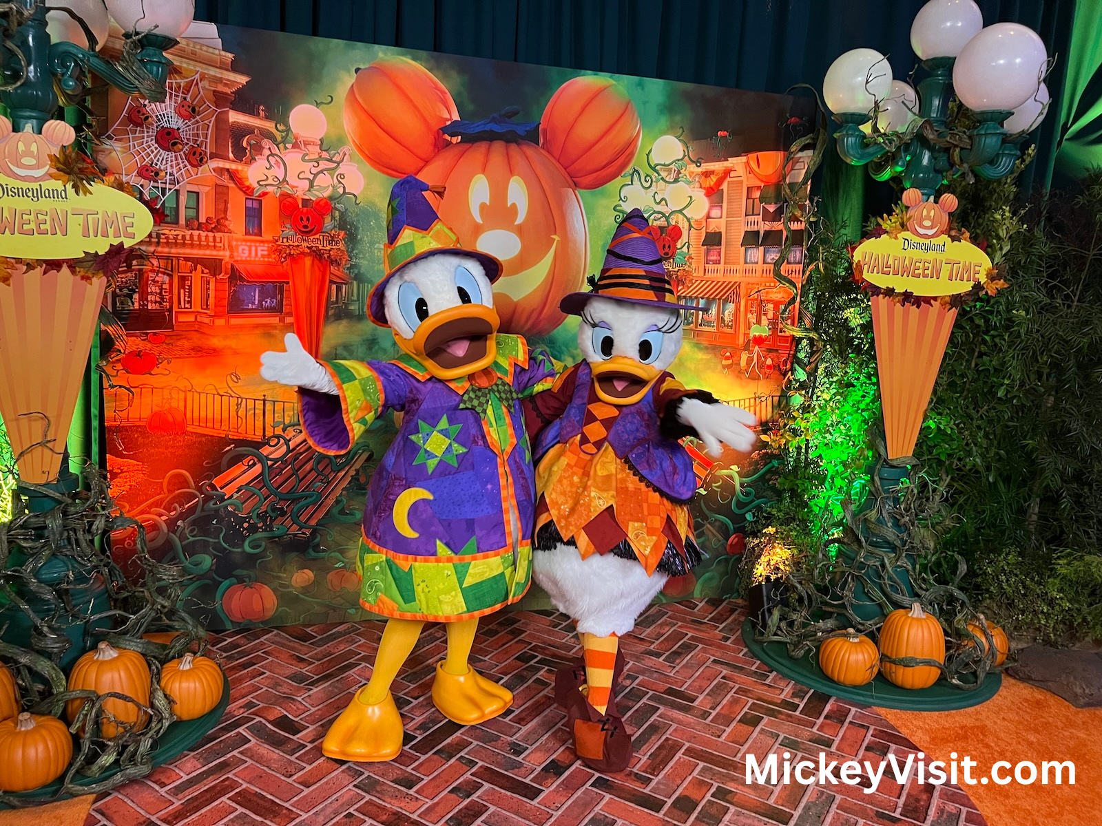 Donald and Daisy in their Halloween costumes