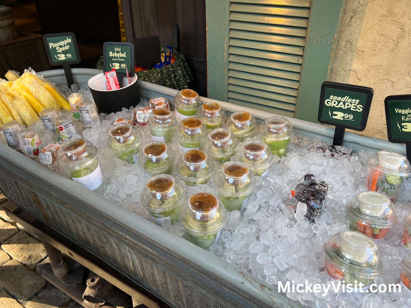 Ice filled cooler with fruit at Disneyland