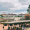 Green monorail at Magic Kingdom