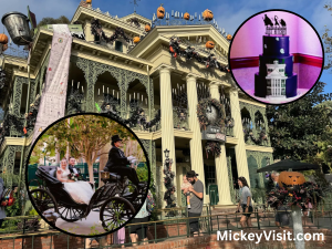 Haunted Mansion wedding