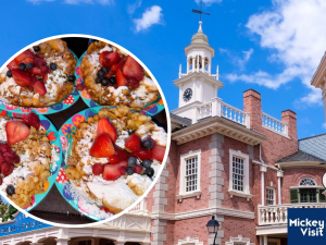 disney world restaurant rating