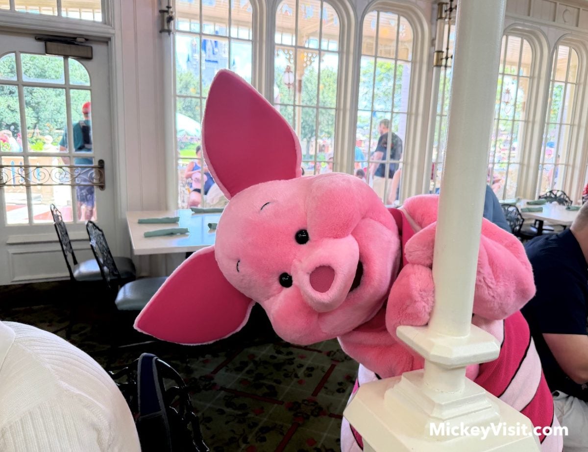 disney world piglet at character breakfast