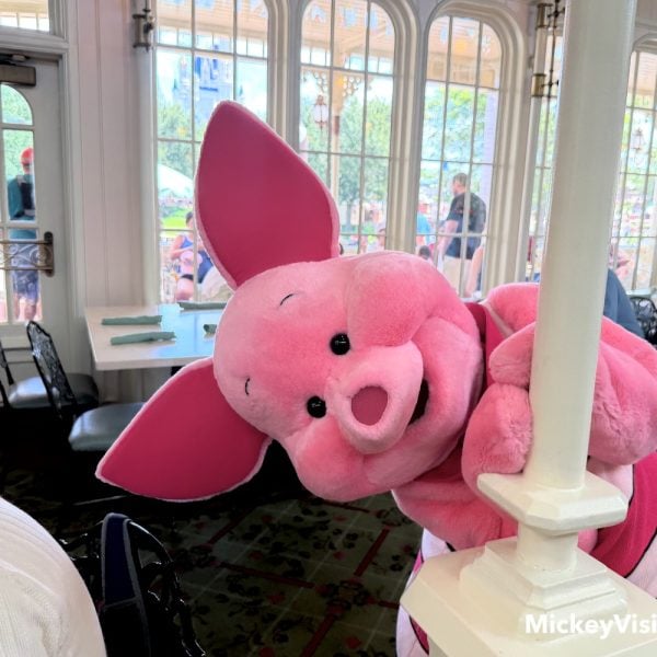 disney world piglet at character breakfast