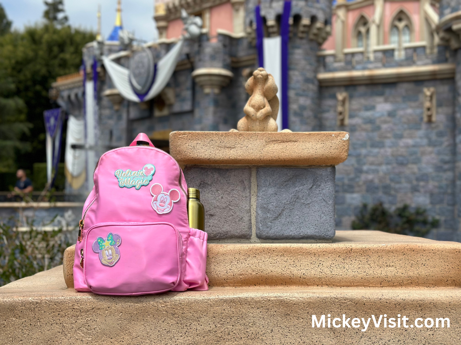 Pink backpack in front of Disneyland castle