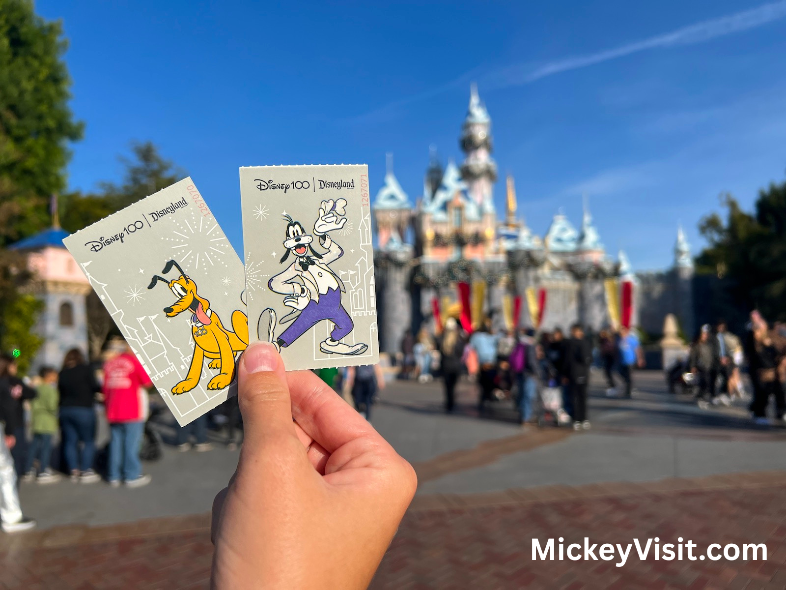 Two Disneyland tickets