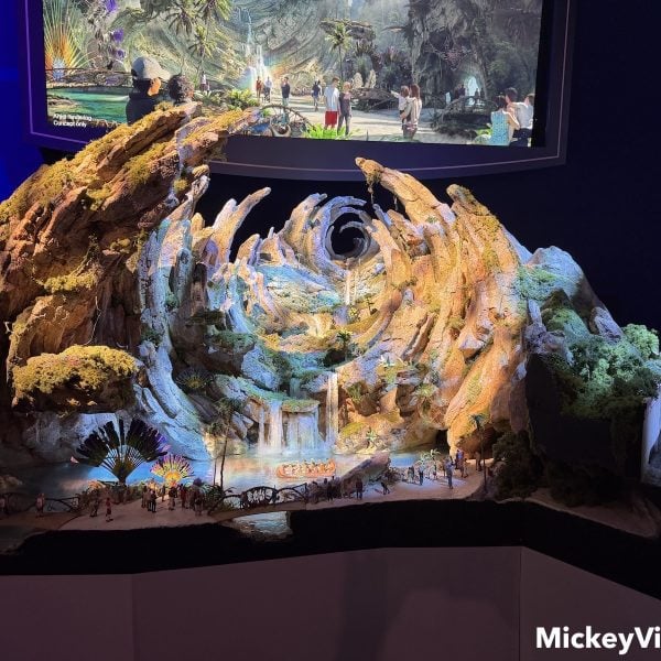 Avatar land scale model