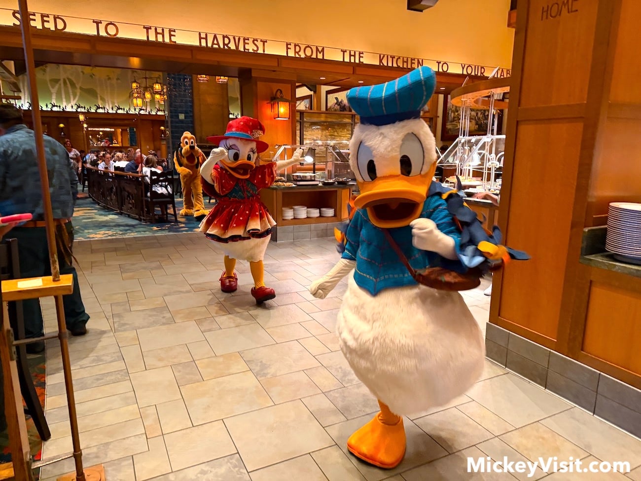 Daisy Duck, Donald Duck characters