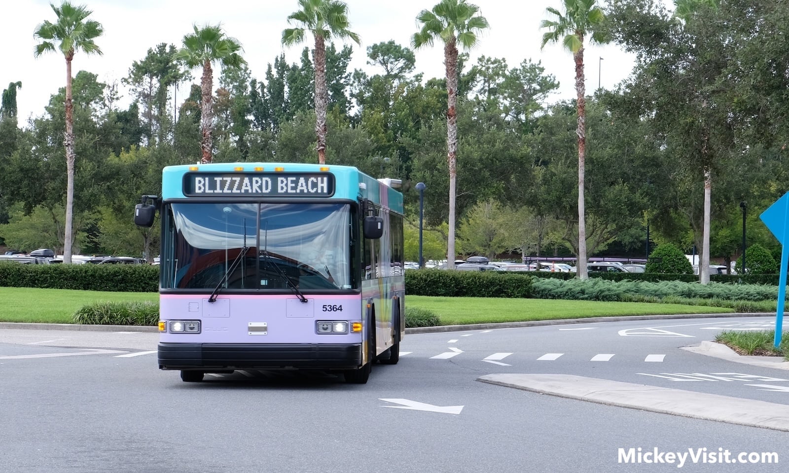 Disney World bus