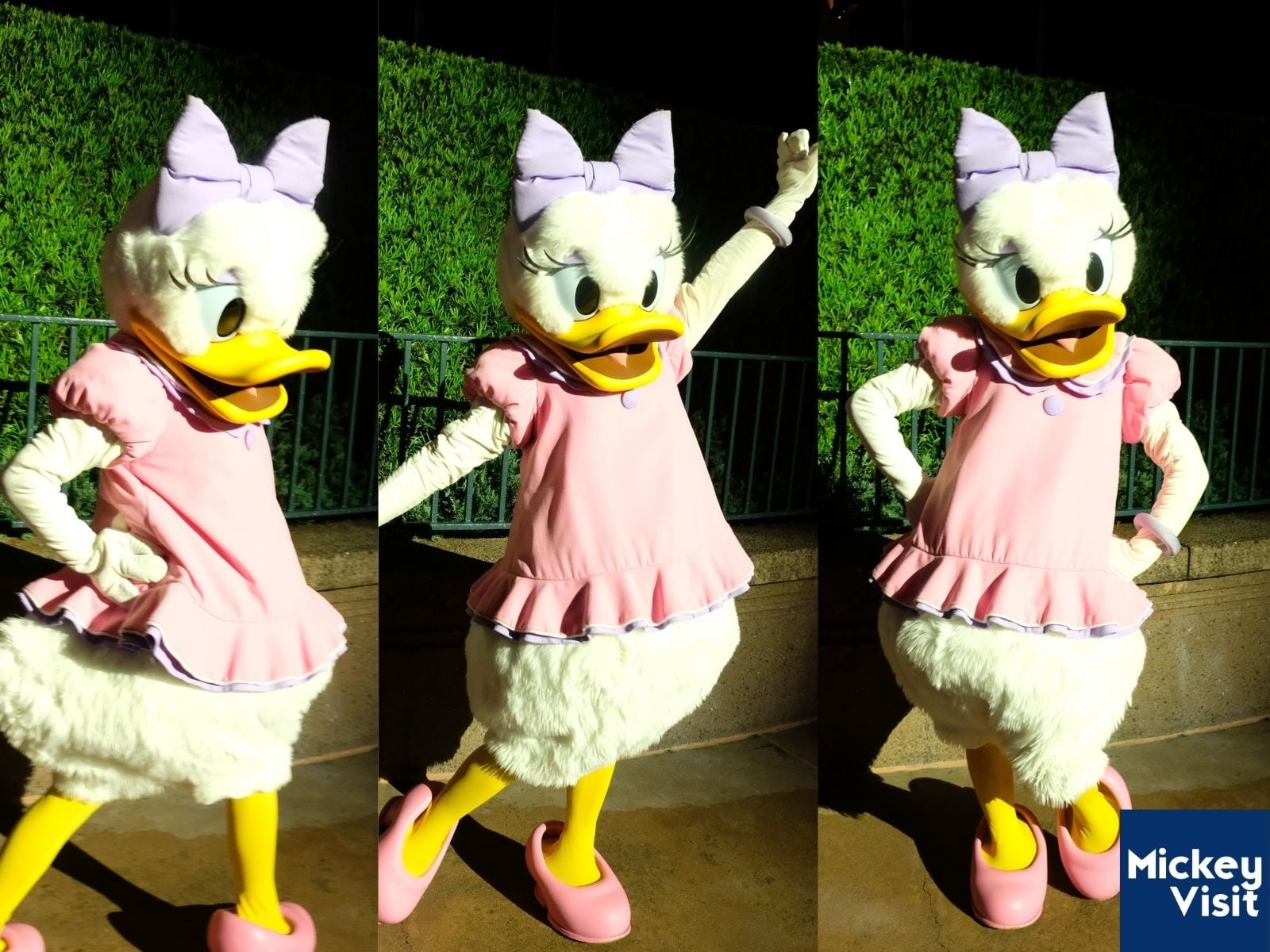 Daisy Duck posing