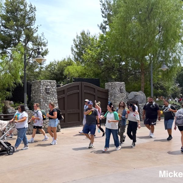 crowds in Disney California Adventure walkway