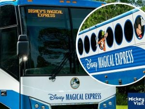 Magical Express bus
