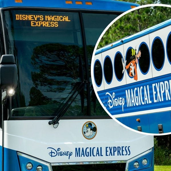 Magical Express bus