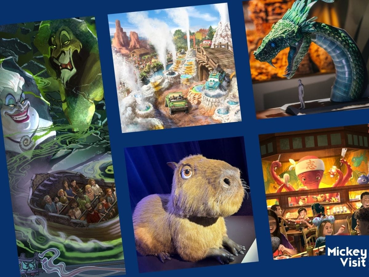 Disney World New Rides