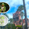 Disney Reveals 3 New Disney World Annual Passholder Perks