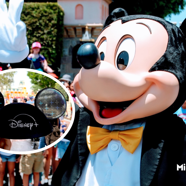 Disney+ perks