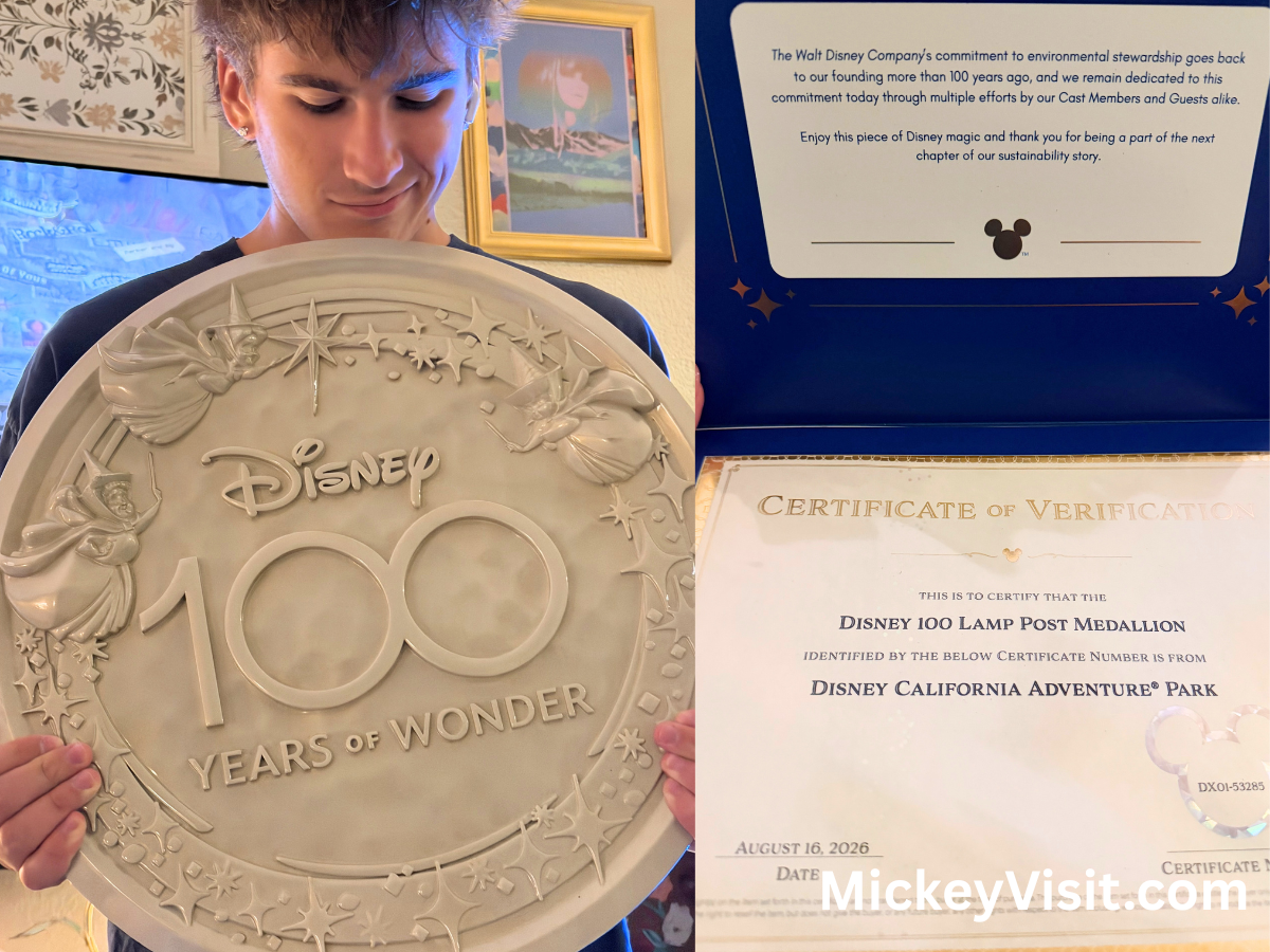 Disney 100 Medallion