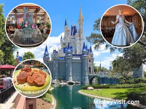 Disney World Castle