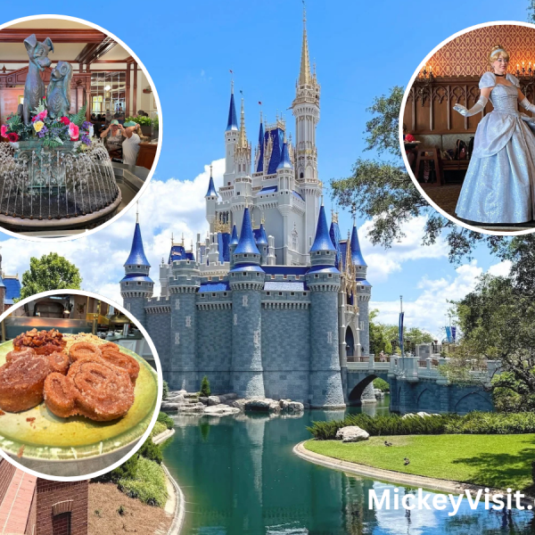Disney World Castle