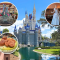Disney World Castle