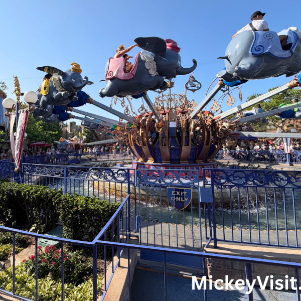 Dumbo Elephant Ride