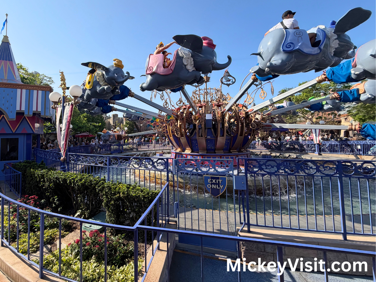 Dumbo Elephant Ride