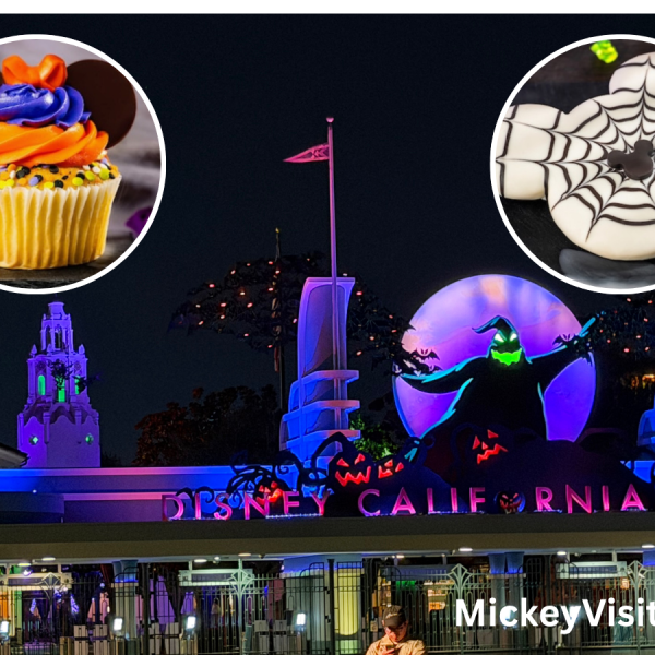 Disneyland Entrance with halloween items