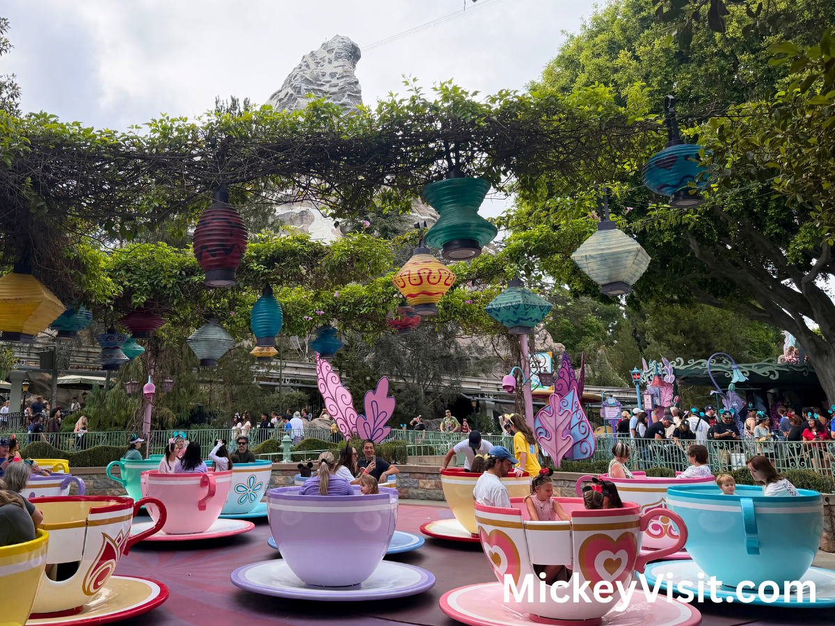 DisneylandMatterhornTeaCups