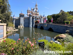 Sleeping Beauty Castle
