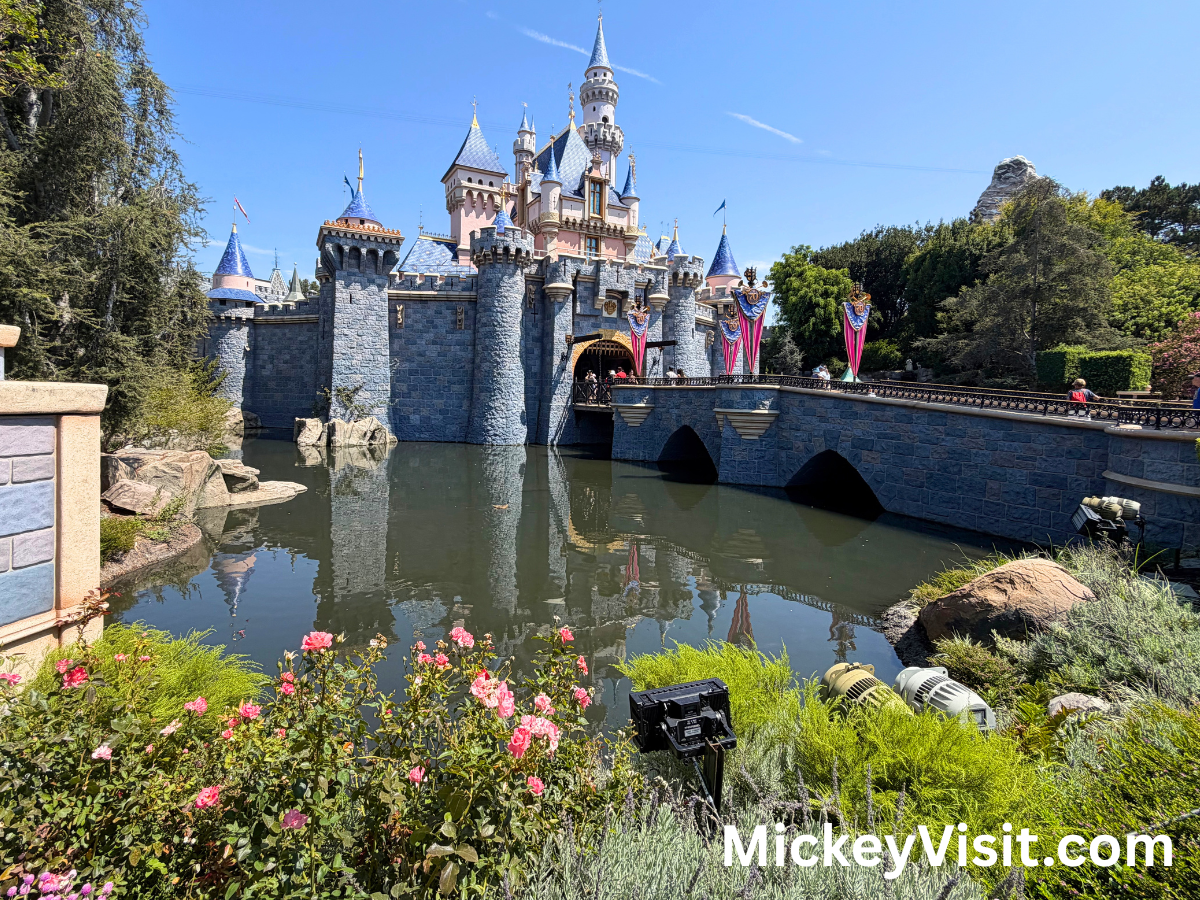Sleeping Beauty Castle