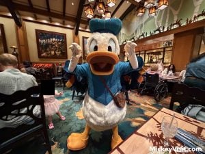 Donald Duck character