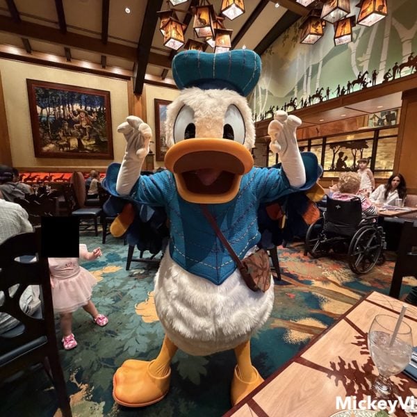 Donald Duck character