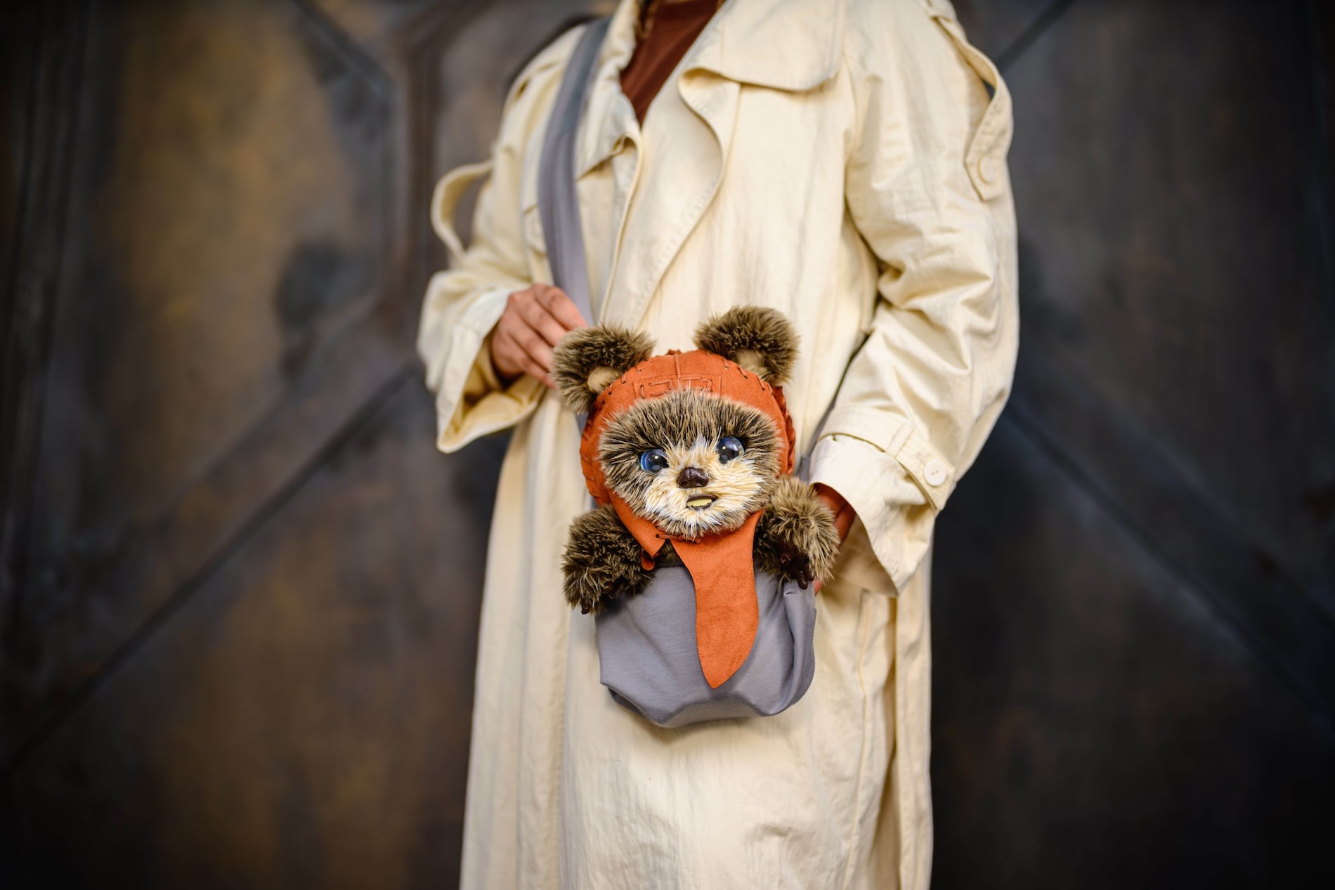 Ewok adventure buddy