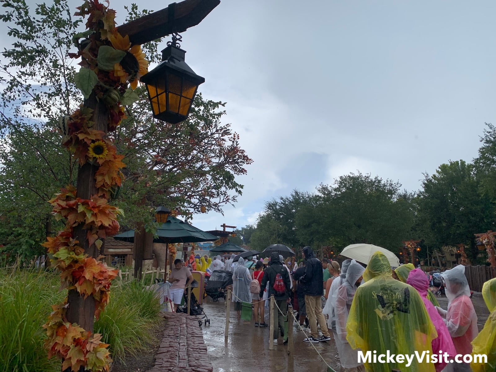 Fantasyland in rain