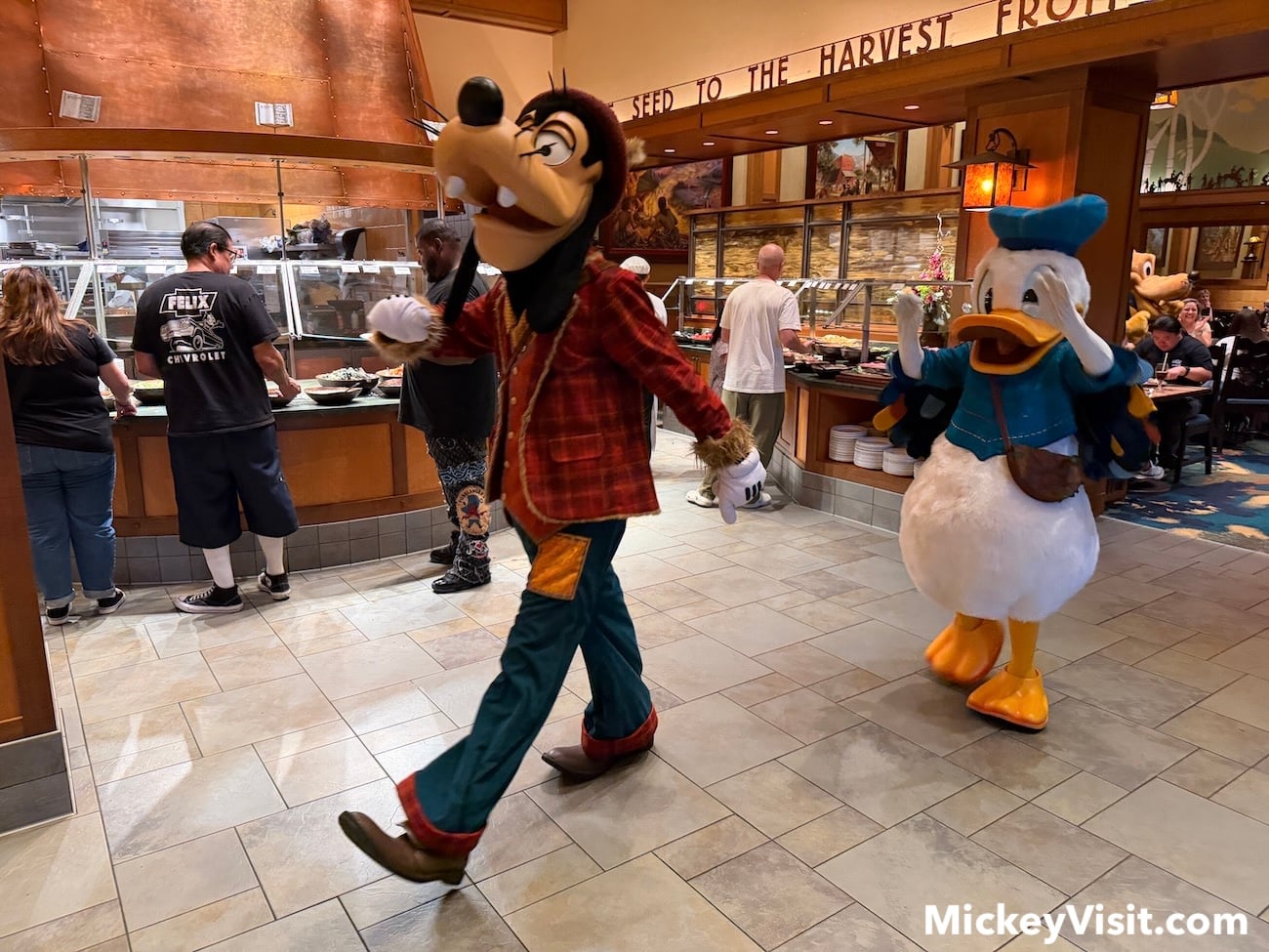 Goofy and Donald Duck characters