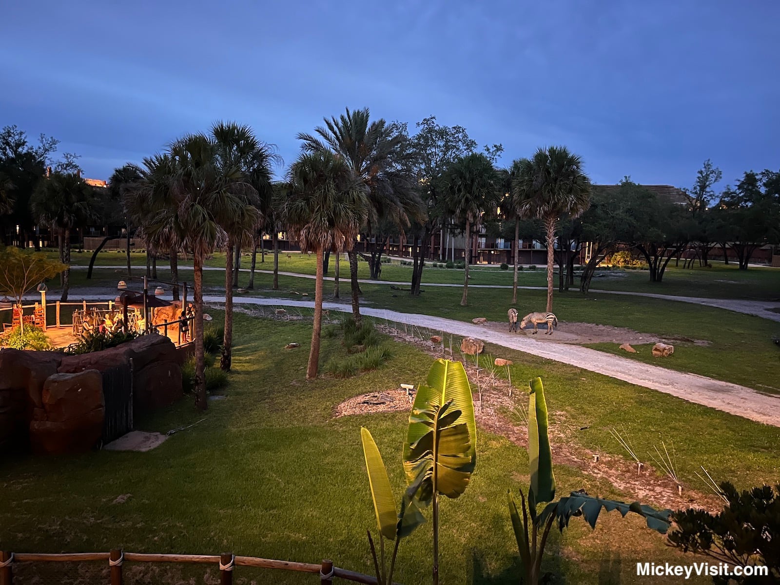 Kidani at Night
