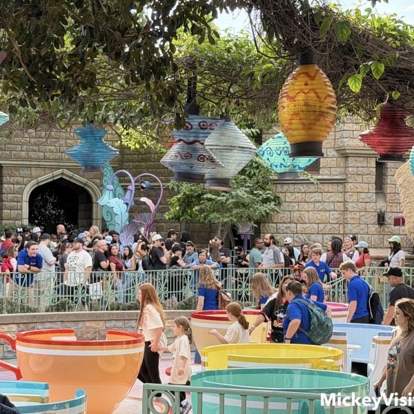 Disneyland teacups ride