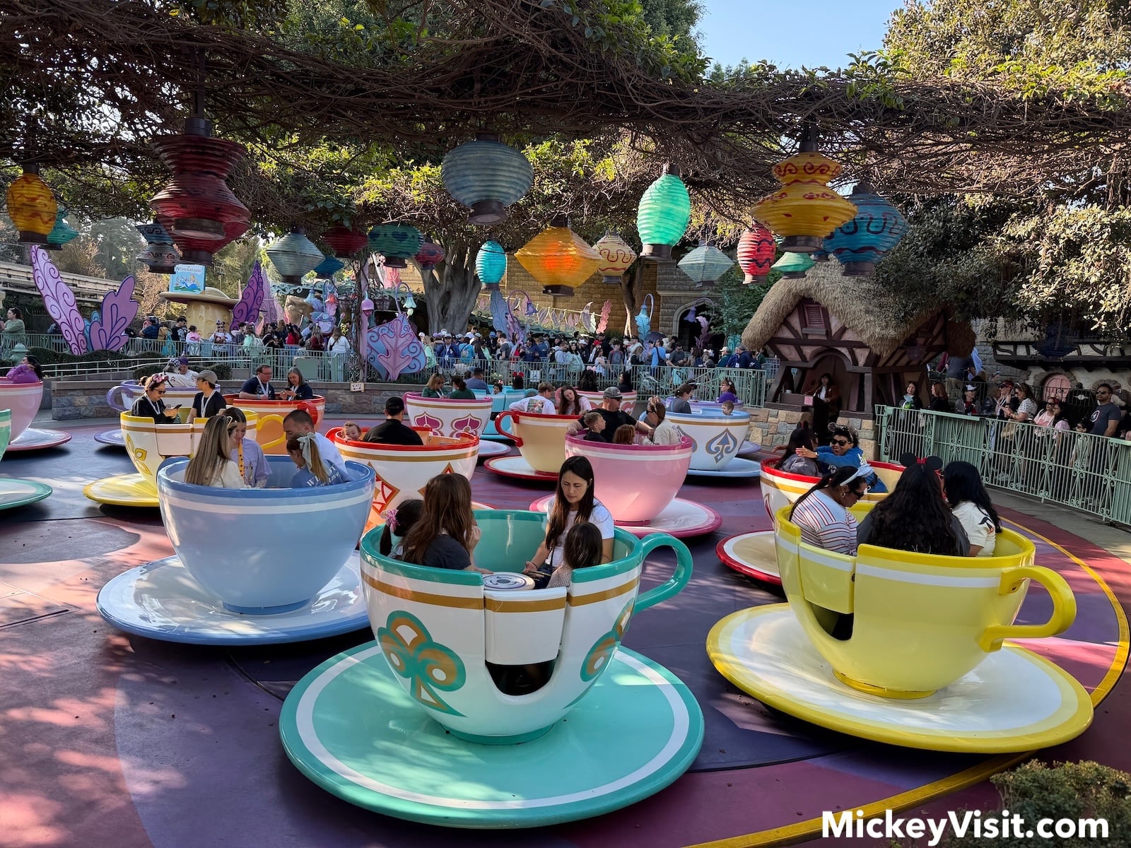 Disneyland teacups ride