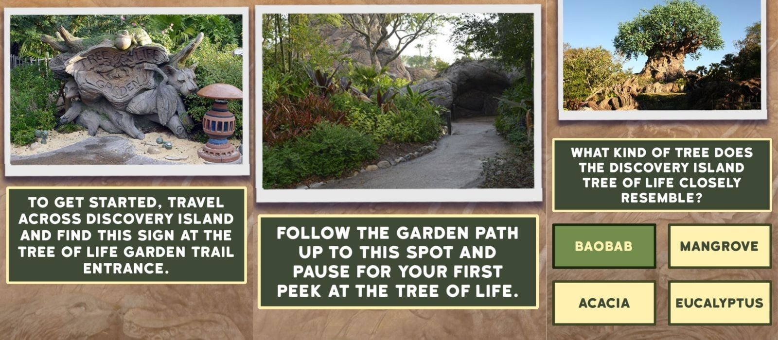Tree of Life Gardens Play Disney Parks game