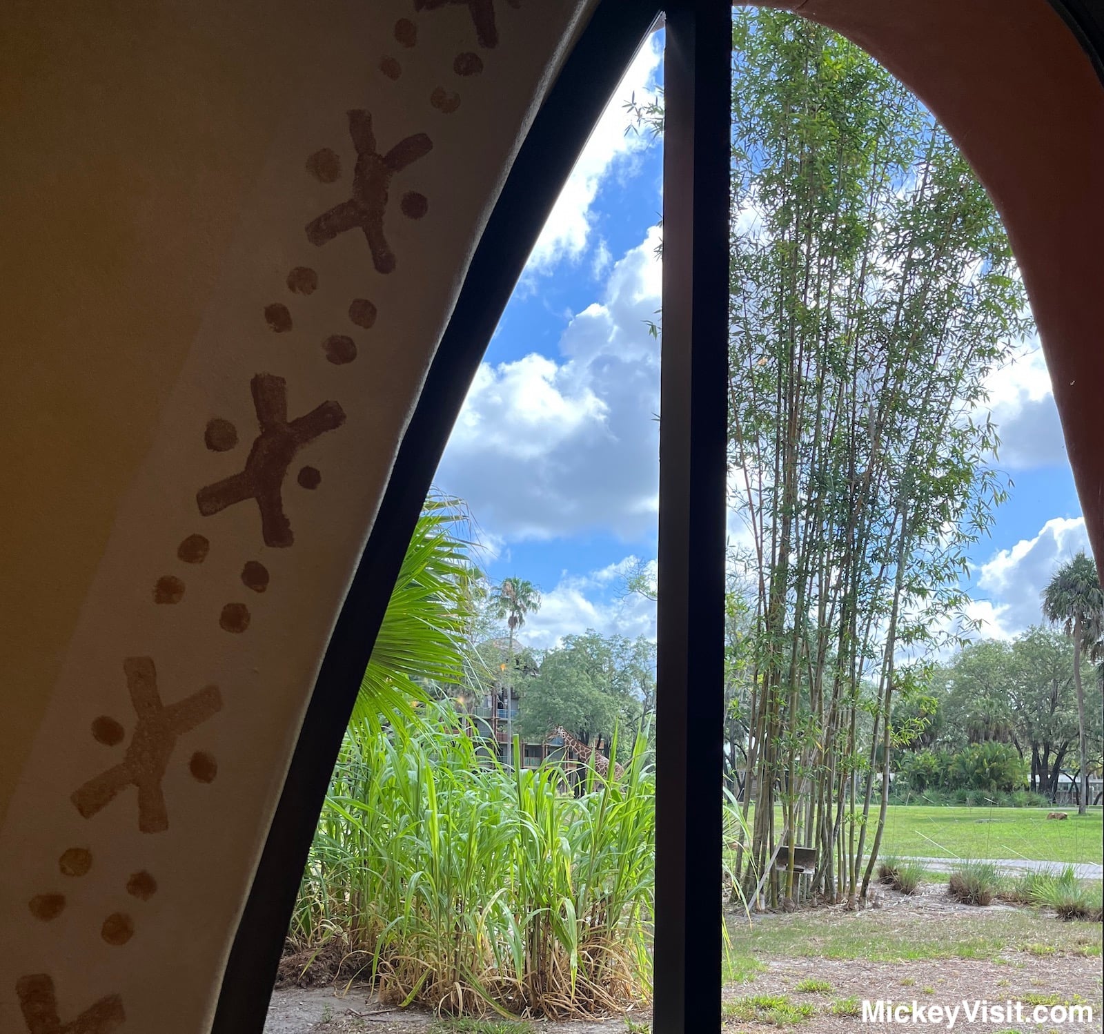 Sanaa Savanna View