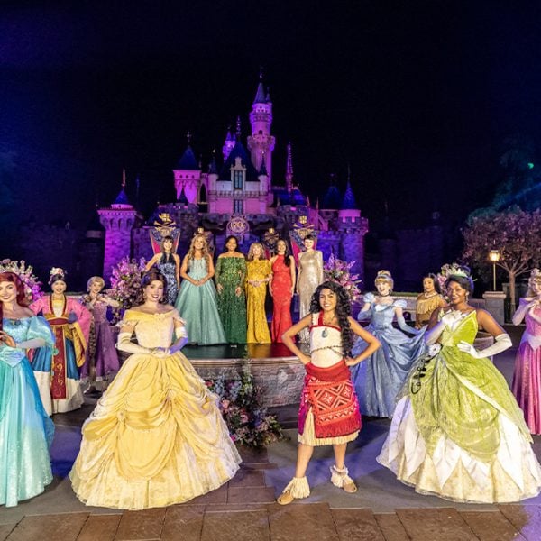 disney castle princesses