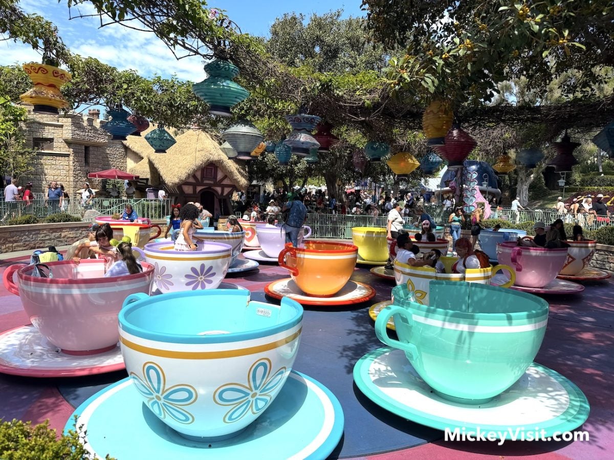 disneyland mad tea cups