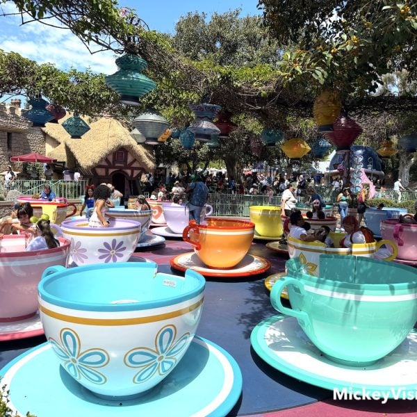 disneyland mad tea cups