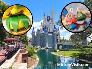 Disney World castle