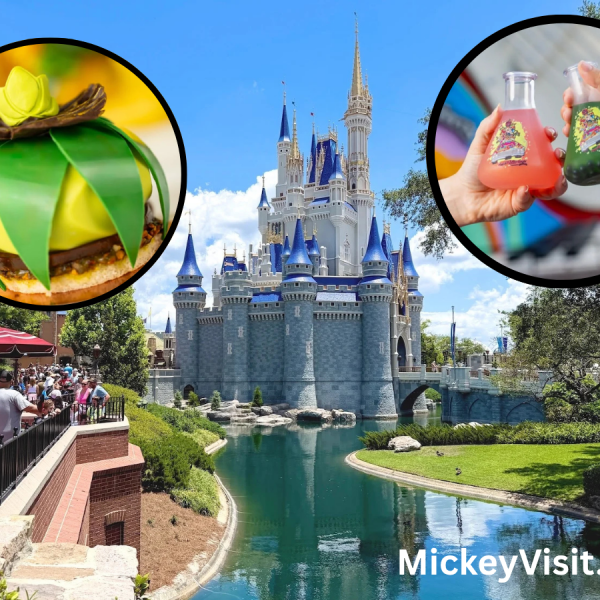 Disney World castle
