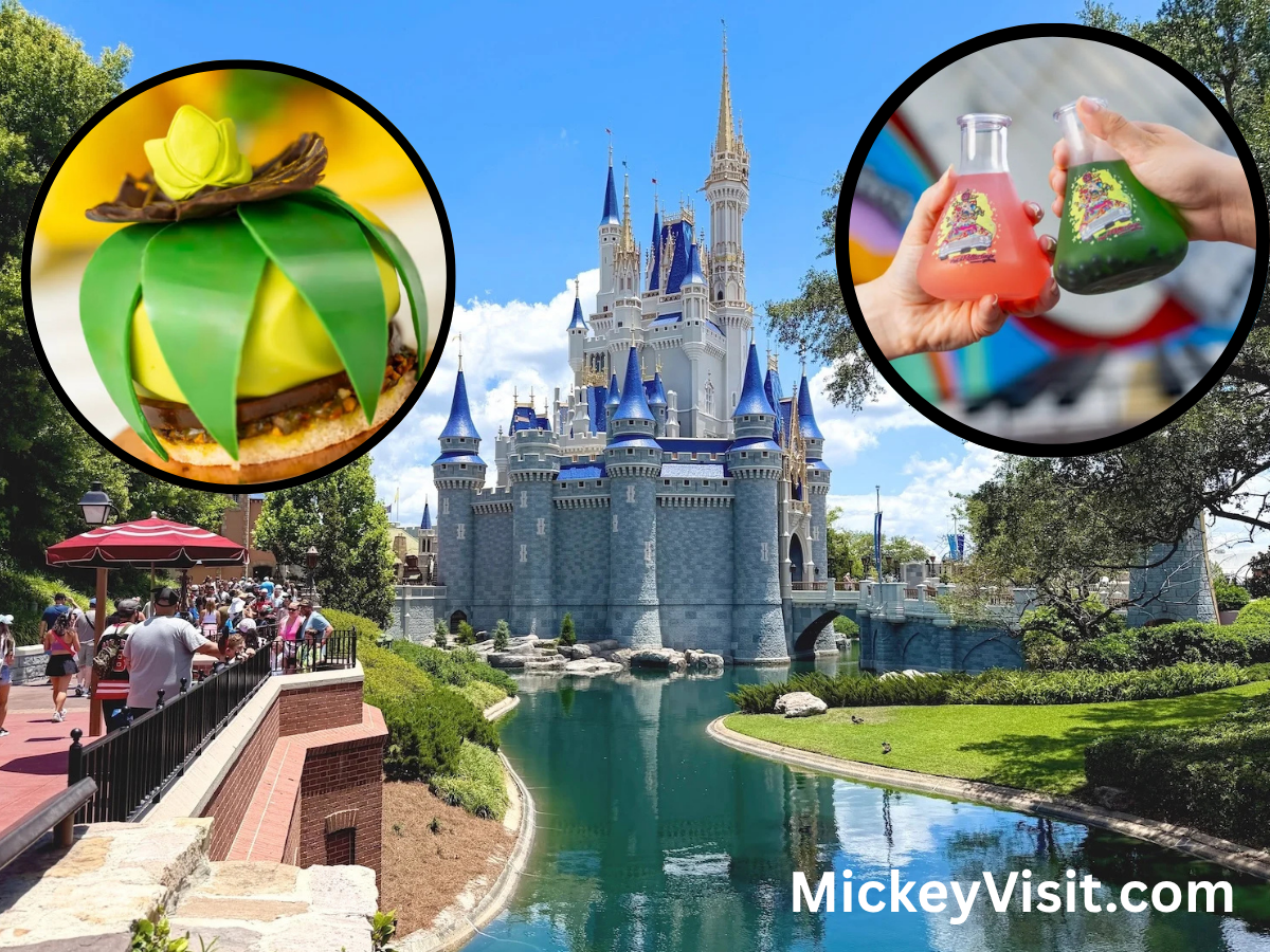 Disney World castle