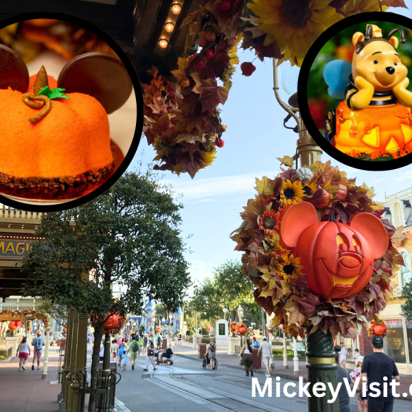 Disney World Halloween