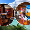 disney new restaurant